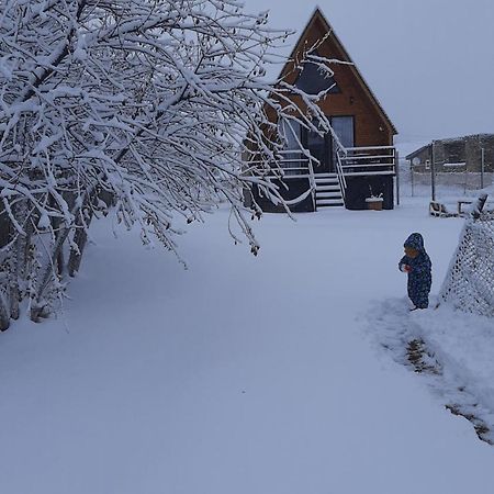 Thomas' Hut Apartman Kazbegi Kültér fotó