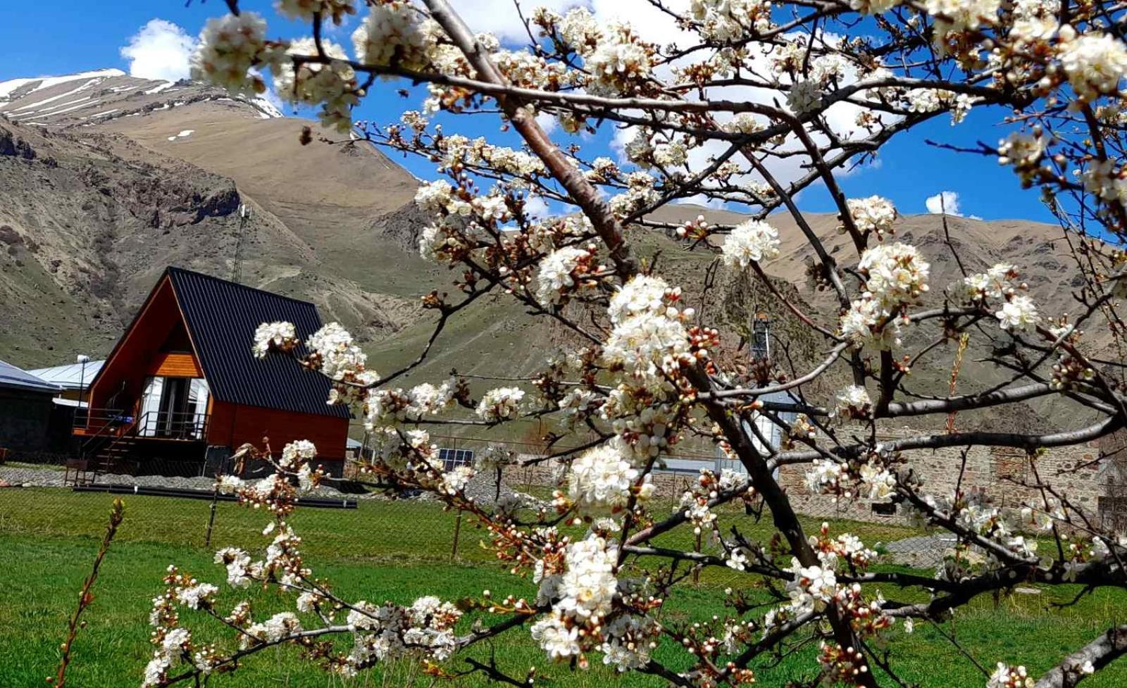 Thomas' Hut Apartman Kazbegi Kültér fotó