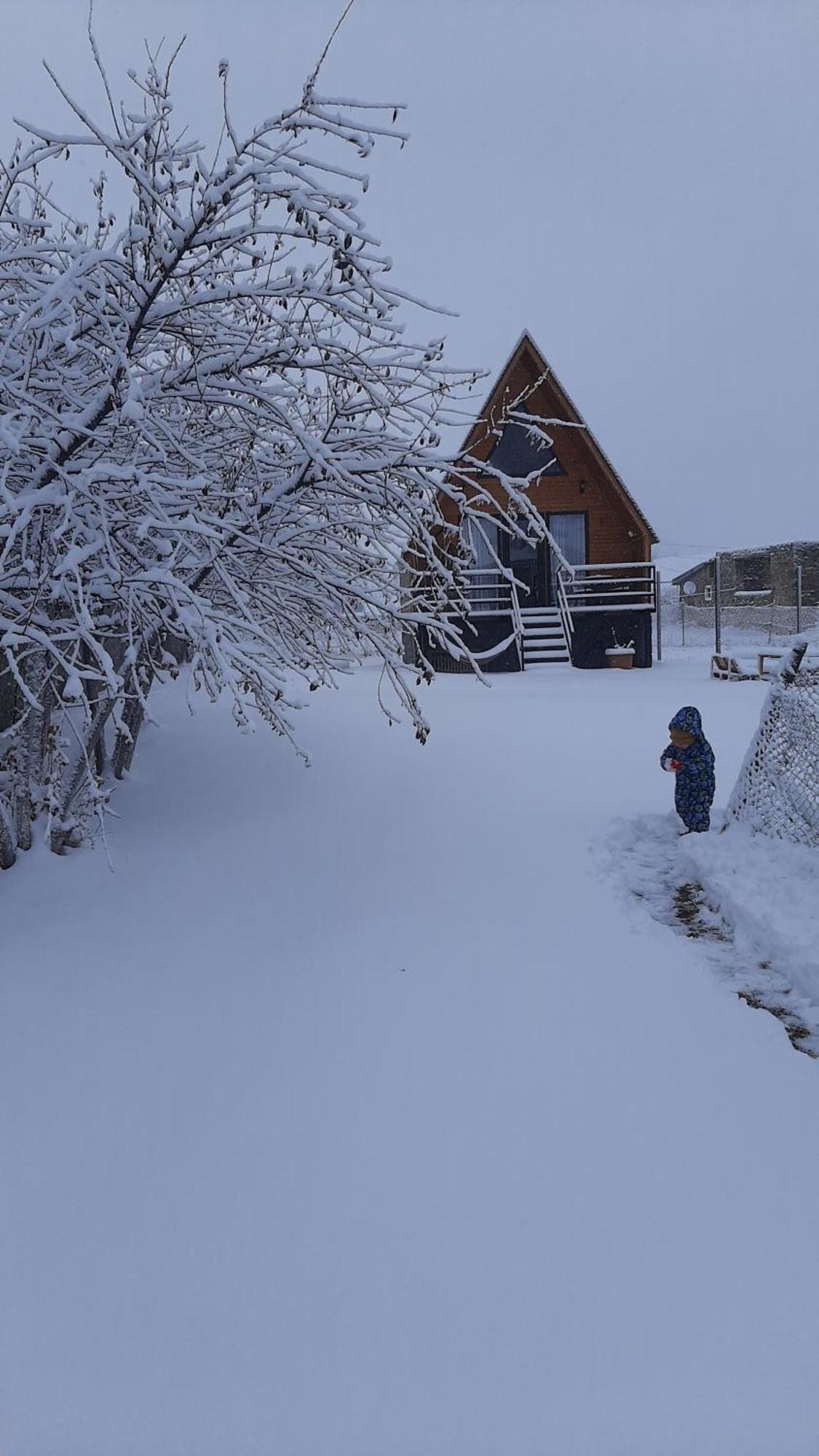 Thomas' Hut Apartman Kazbegi Kültér fotó