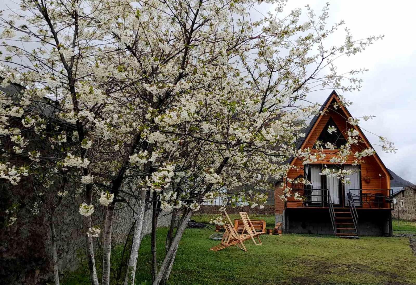 Thomas' Hut Apartman Kazbegi Kültér fotó